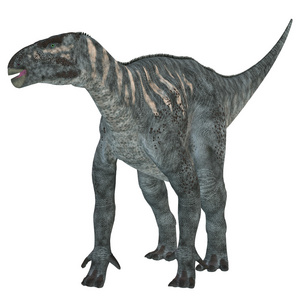 鬣蜥食草恐龙