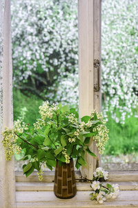 在一个旧窗口的背景上的白色丁香花束