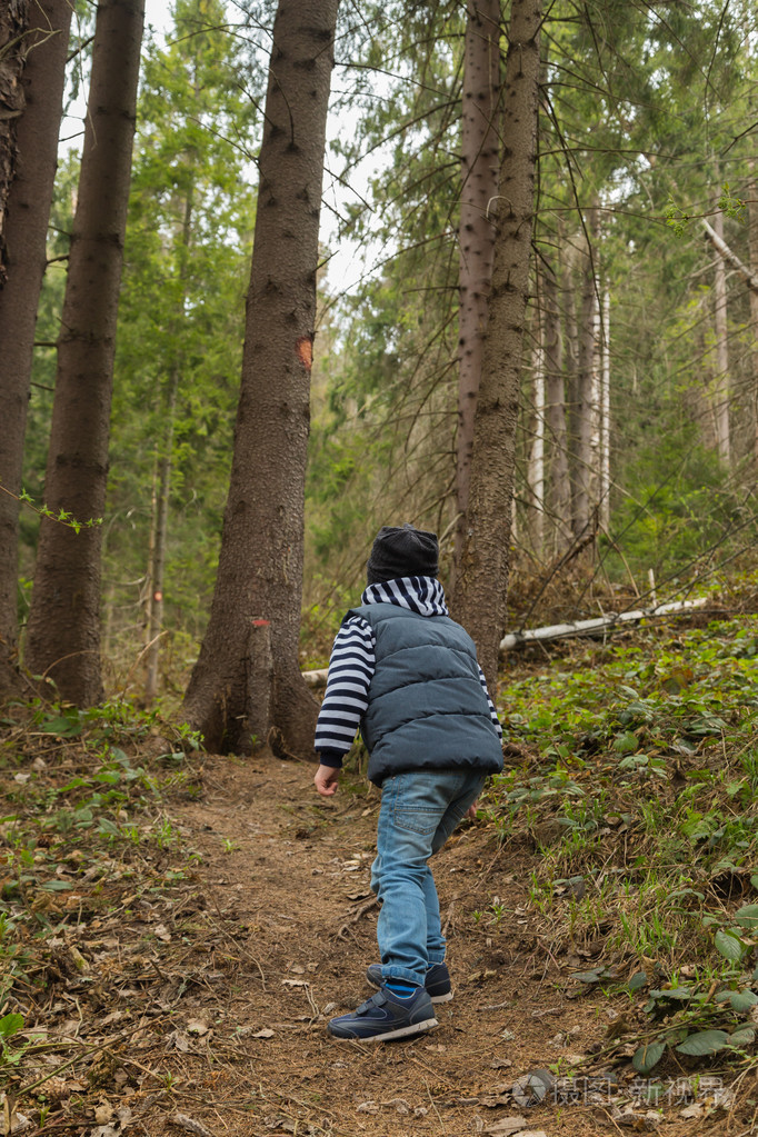 小男孩在树林里去散步