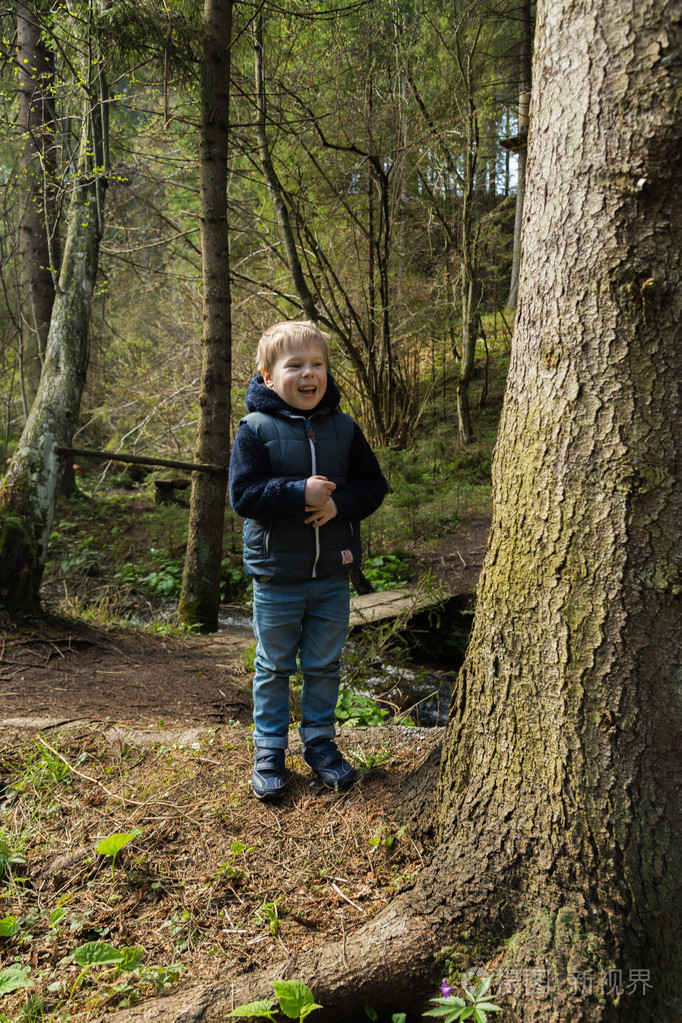 小男孩在树林里去散步