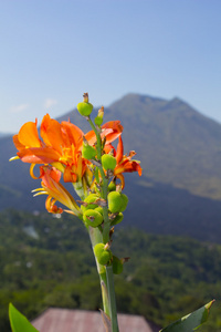 巴图尔火山在阳光灿烂的日子