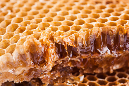 甜蜜蜂巢背景图片