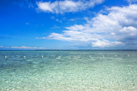 美丽的海景