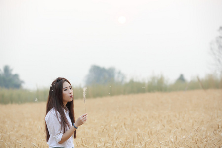 亚洲女孩在麦田