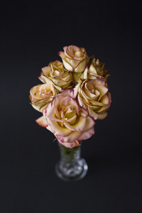 新鲜的玫瑰，插在花瓶里