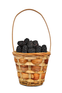 黑莓木篮
