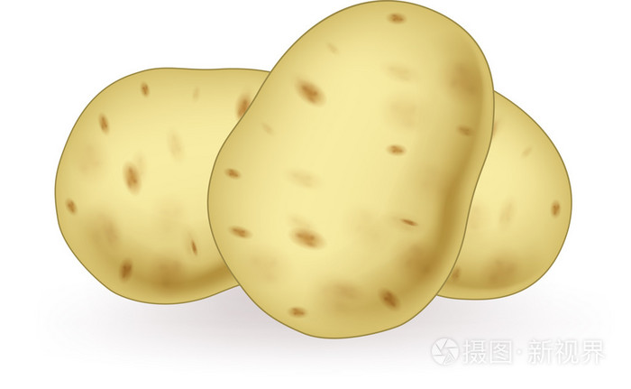 卡通马铃薯插画 正版商用图片1jijgv 摄图新视界 卡通马铃薯插画 正版商用图片1jijgv 摄图新视界