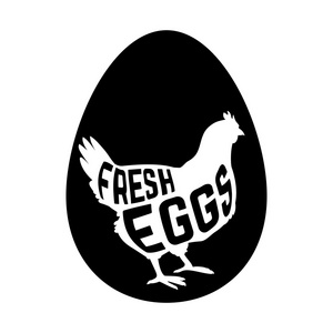 鸡蛋与概念鸡剪影里面白色背景上