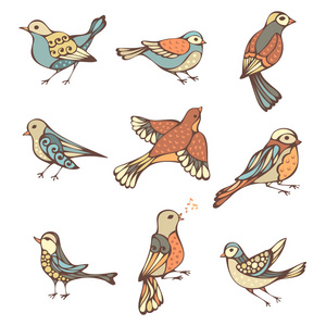 手绘鸟类的矢量集。