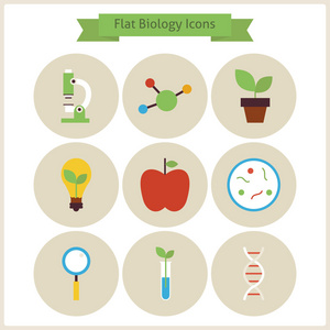 平校生物及科学图示