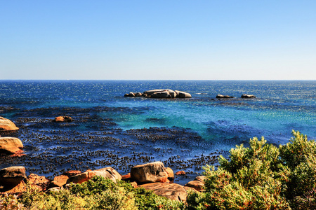 南非开普敦海岸