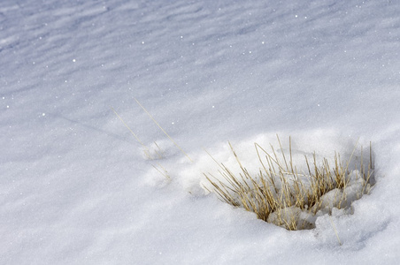 雪