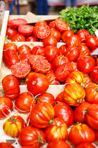 从地中海农贸市场在普罗旺斯有机西红柿