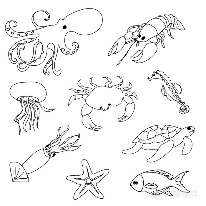 海洋动物着色页