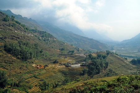 越南北部天然绿色水稻农场山