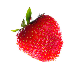 成熟的草莓在白色背景上孤立