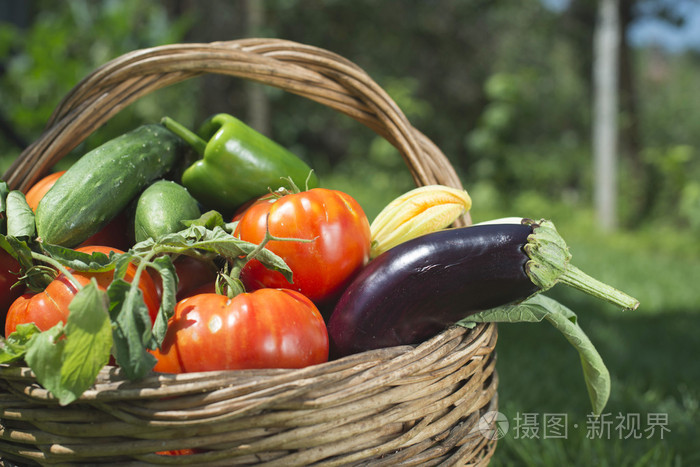 在一个木制的篮子蔬菜