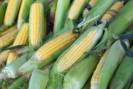 供农贸市场出售的玉米