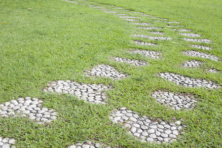 草地上的行人路草地上的石路照片
