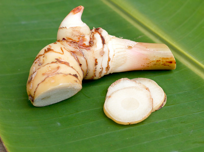 加兰加Alpinia Galanga