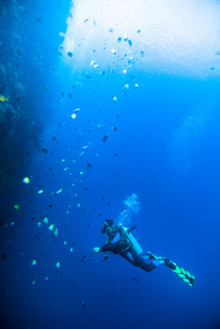 潜水员蓝色水潜水布纳肯印度尼西亚海礁海洋