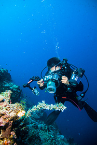 水下摄影的摄影师潜水员潜水布纳肯印度尼西亚礁海洋