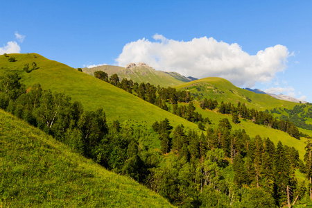 绿色山现场