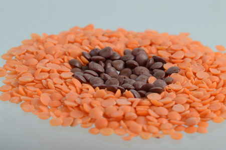 扁豆的种子图片