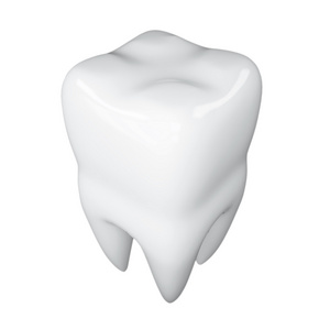 3D牙齿图示