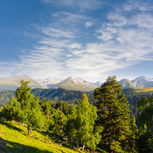 绿色山风景