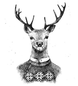 手画的鹿在 kneated 毛衣