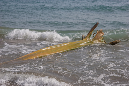 加勒比海滩上的木制漂浮物图片