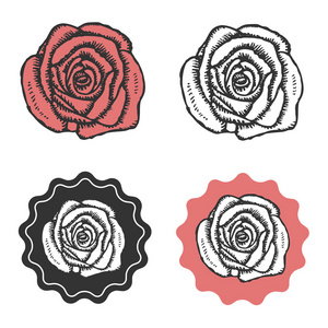 复古手绘玫瑰 logo 标志标志