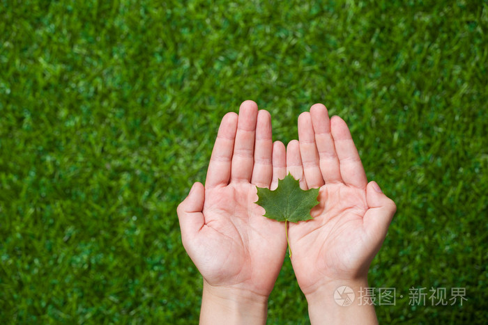 人类的双手托着树叶掌-正版商用图片1jjn49-摄图新视界