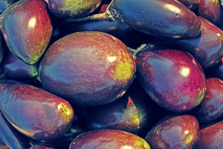 brinjals, 茄子, solanum melongena