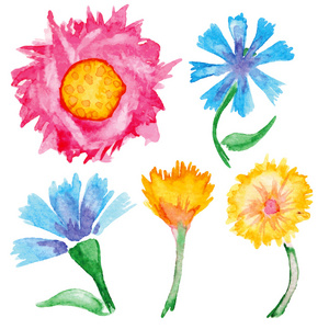 手绘水彩花卉一套图片