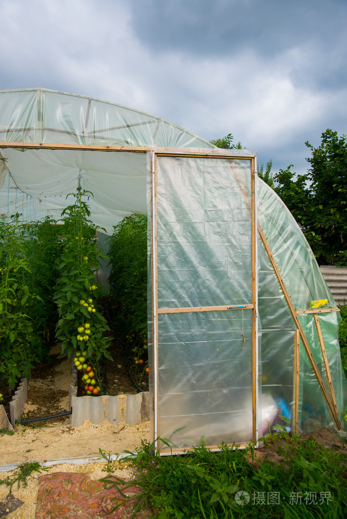 温室花园的夏季照片 正版商用图片1jjpmn 摄图新视界