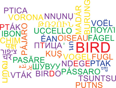 鸟类多语言词云背景概念