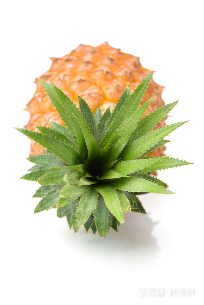 绿色的叶子整个菠萝