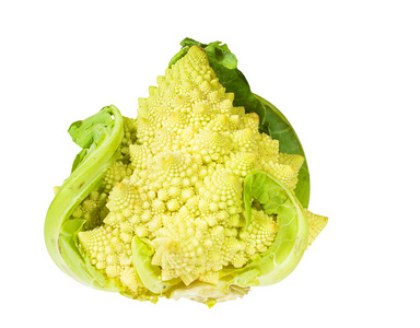 romanesco 白菜