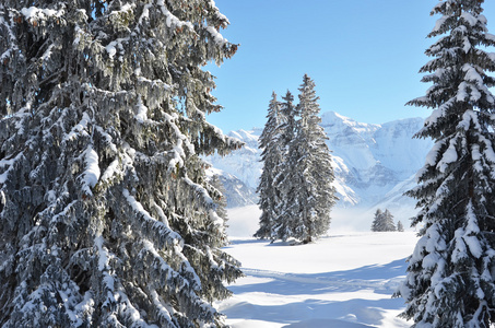 Braunwald，瑞士在冬天