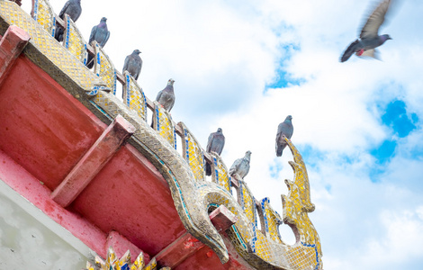 泰国寺庙屋顶上的鸽子