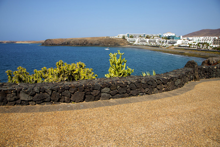 西班牙池塘海滩游艇船夏季仙人掌海岸线