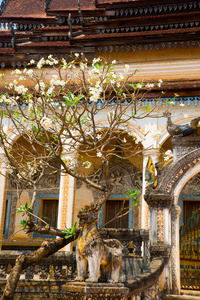 Siemreap,Cambodia.Temple 和石雕动物