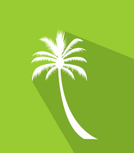 棕榈树图像
