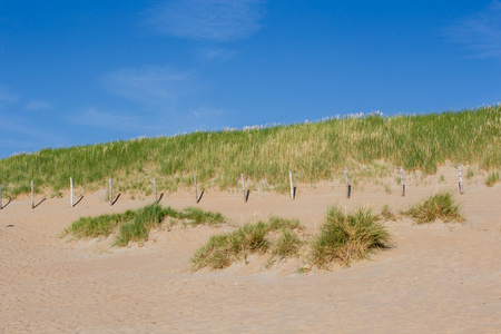 沙滩海岸的沙丘上蓝蓝的天空晴朗的日子
