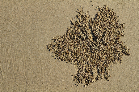 砂纹理或背景