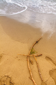 小枝同时海浪海滩上