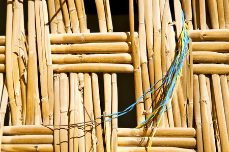 纹理竹子在摩洛哥蓝色