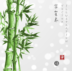 苏梅风格的绿竹